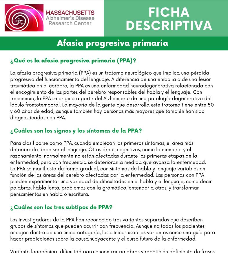 Primary progressive aphasia spreadsheet - Spanish